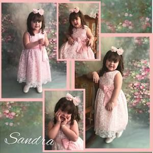 Meet your Posher, Sandra-martin